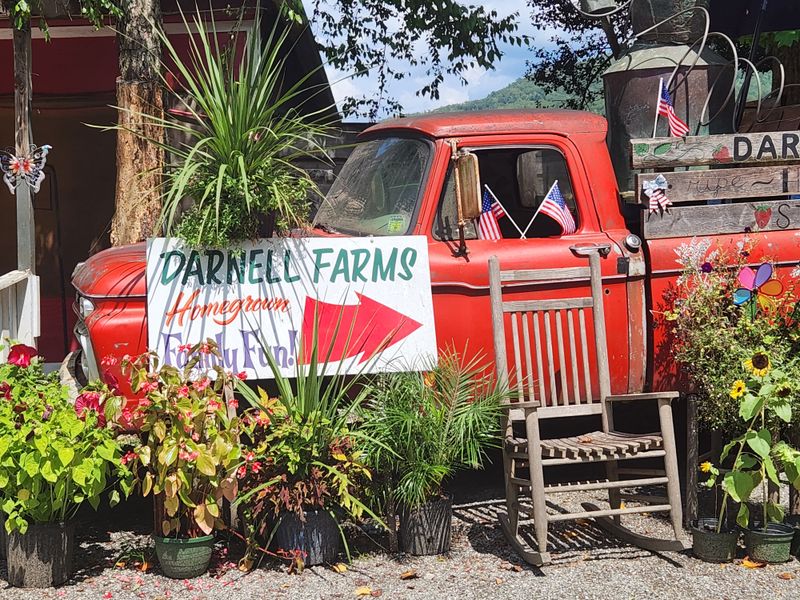 Darnell Farms Family Fun