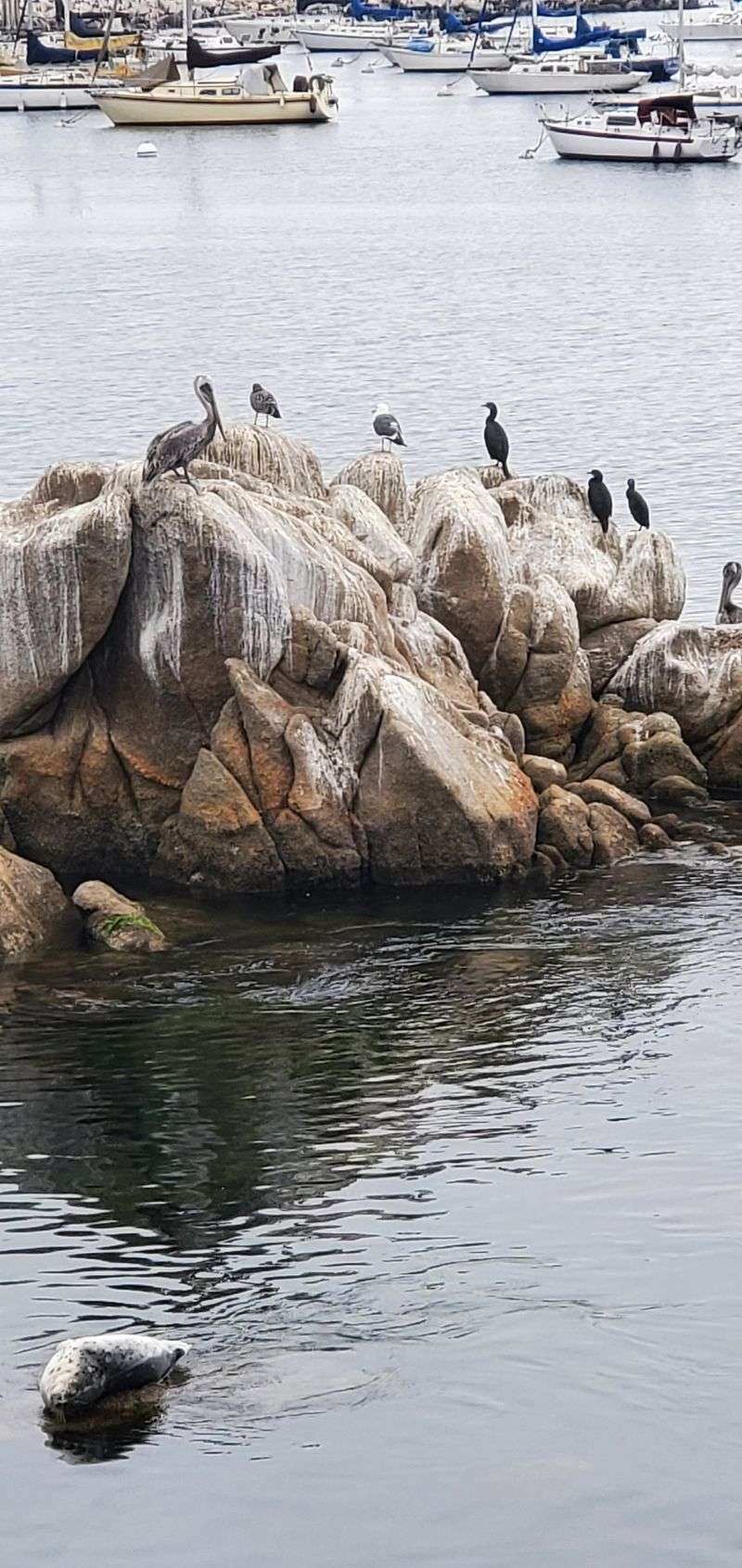 Year-Round Riding With Seasonal Wildlife Highlights