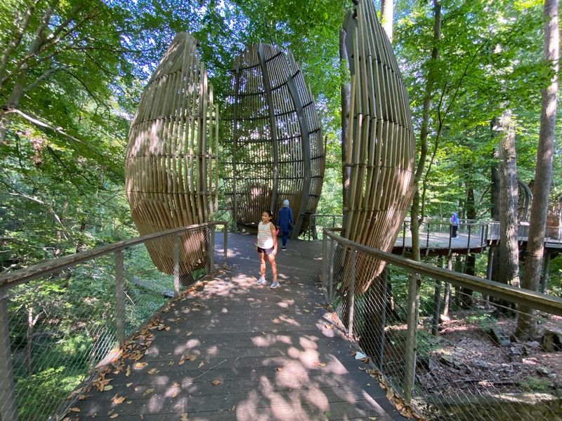 Step Into The Land Of Giants At This Incredible Atlanta Georgia Museum That Houses The World's Largest Dinosaurs - Decor Hint Fernbank Forest