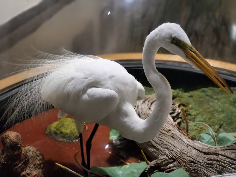 See A Real Apollo Spacecraft And A 10K Planetarium For Free At This Hidden Atlanta Georgia Gem - Decor Hint Astronomy Resource Center