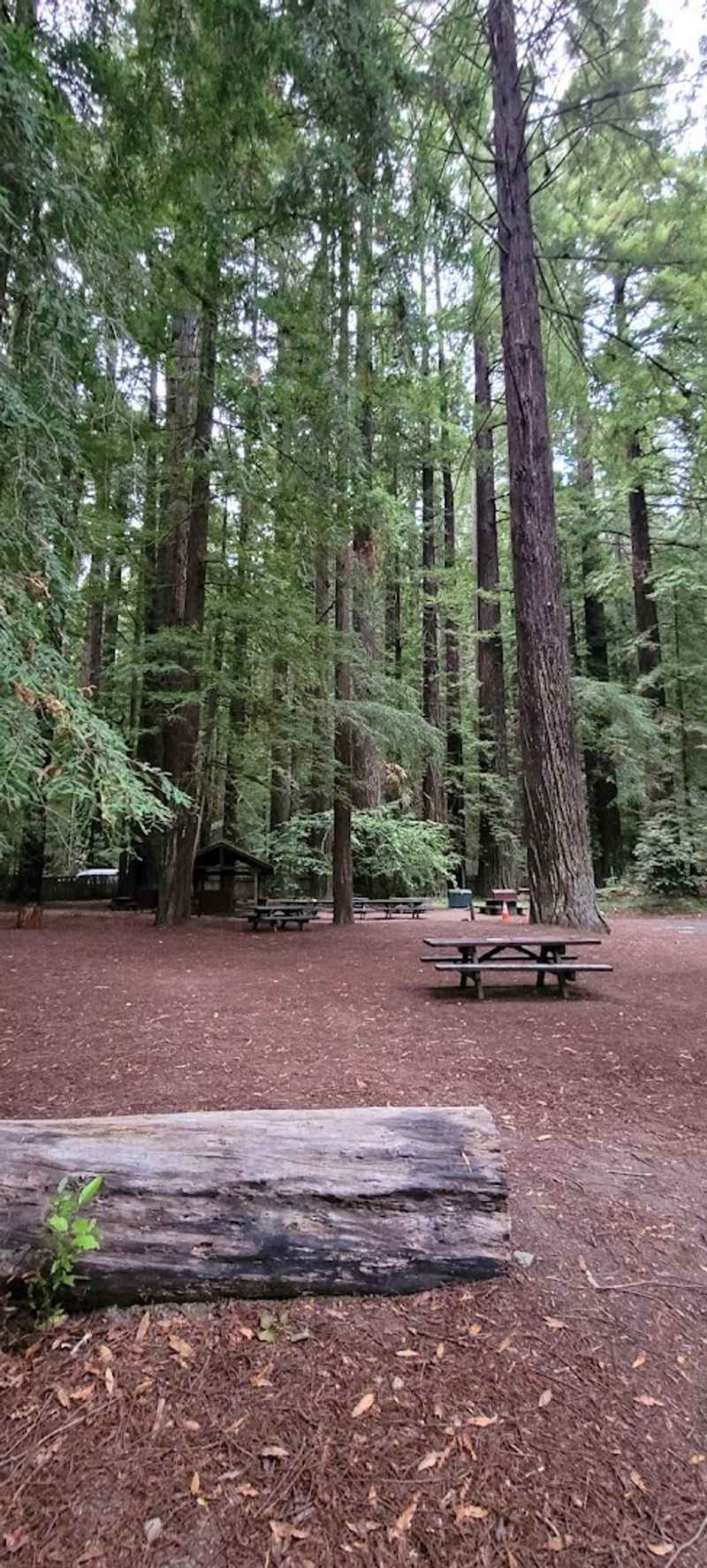 Thirty Family Campsites Plus Group Options