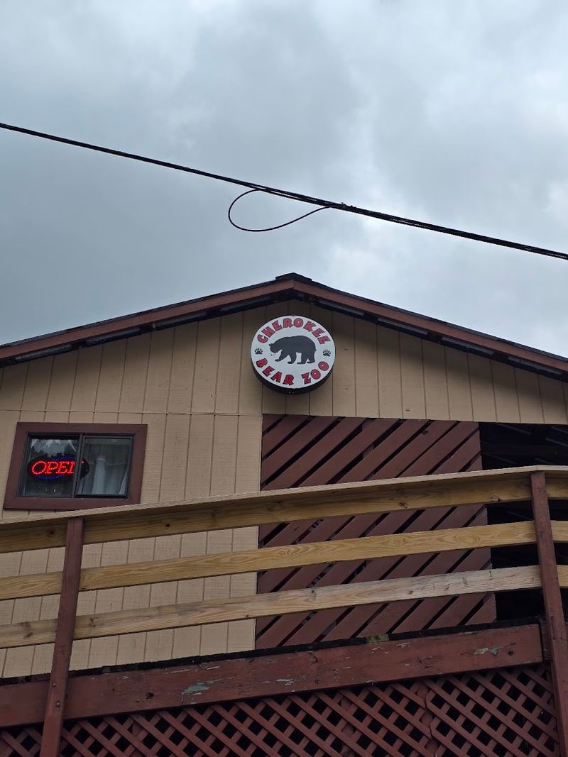 Meet Bears Up Close In North Carolina This Weekend - Decor Hint Gift Shop Exit Route