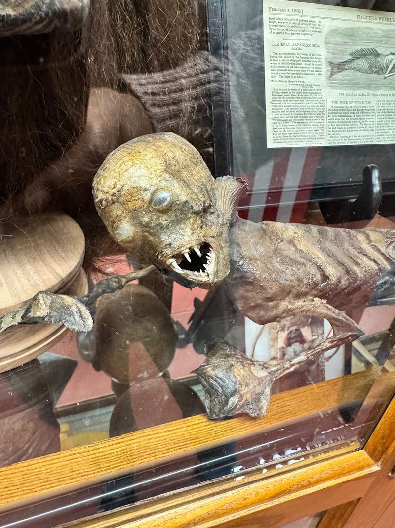 Occult and Witchcraft Collection