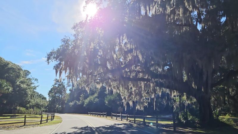 Getting There: Location And Parking Tips