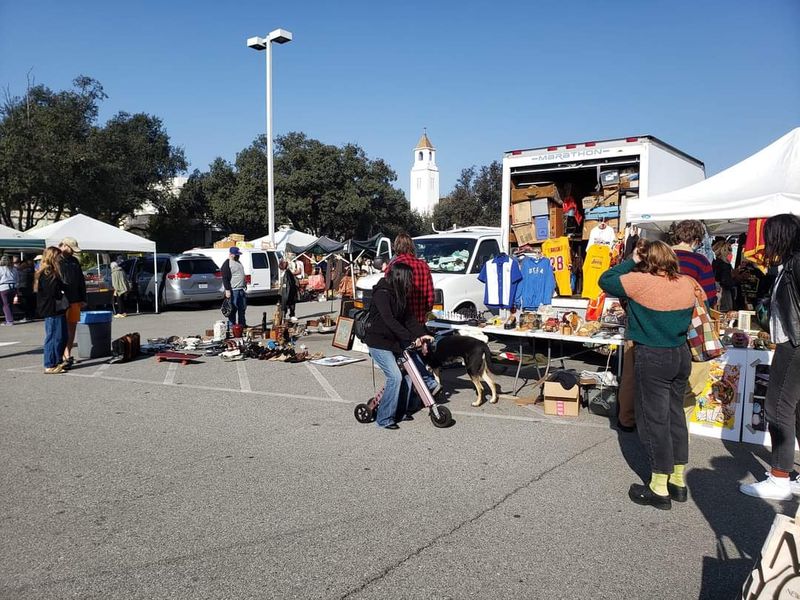 Supporting Student Scholarships And Basic Needs