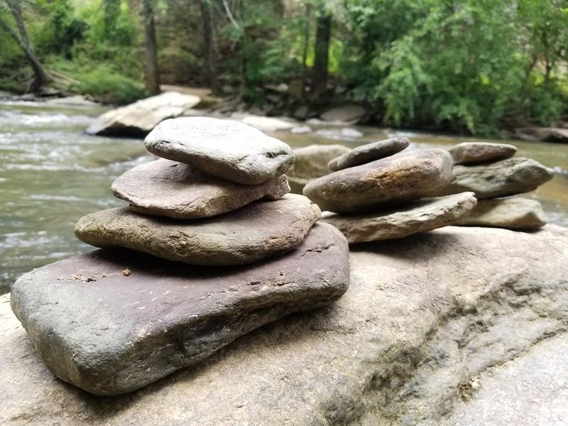 Kid-Friendly History Lesson in the Forest