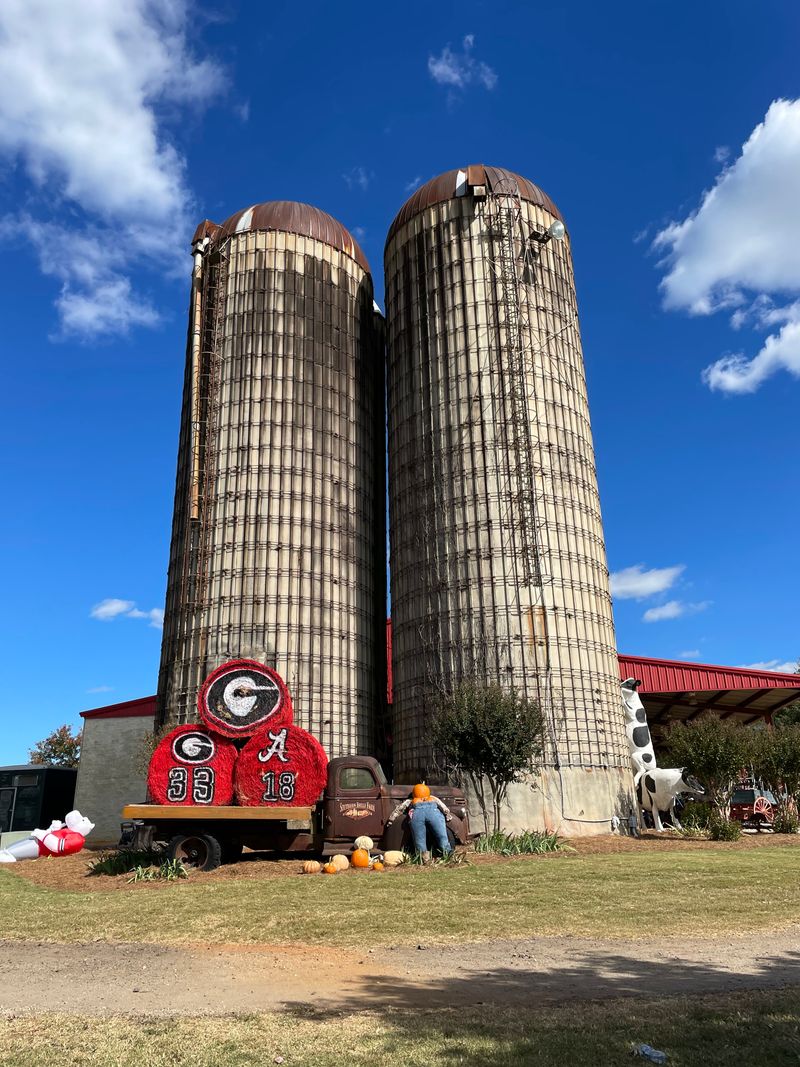 Pick Your Own Georgia Peaches & Experience Farm Life At This 330-Acre Farmland In McDonough - Decor Hint Barnyard Playground Equipment