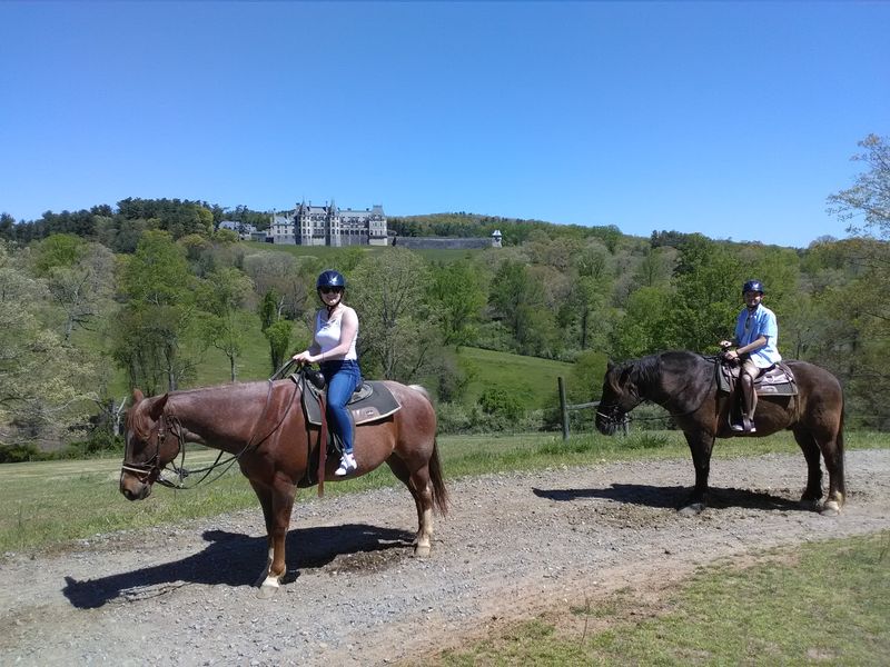 Breathtaking Blue Ridge Mountain Views Frame Every Journey