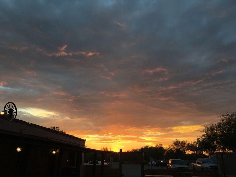 Service With Desert Calm