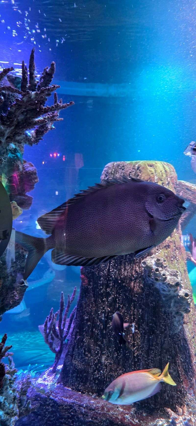 Conservation Notes That Stick With You