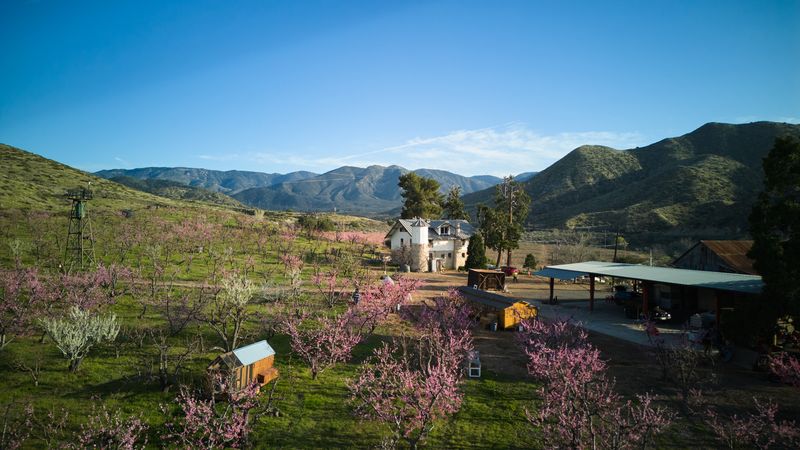 Bloom Ranch Of Acton