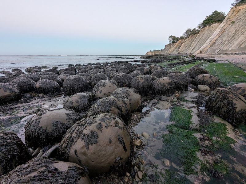 This California Bowling Ball-Filled Beach In Mendocino Feels Otherworldly - Decor Hint Optimal Viewing Times And Low Tide Windows