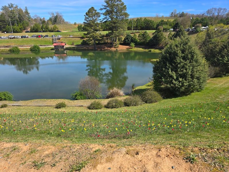 This Beloved Mountain Farm Mercier Orchards Blue Ridge Georgia Is A 2026 Must-Visit - Decor Hint Close Proximity to Blue Ridge, Georgia's Charming Mountain Town