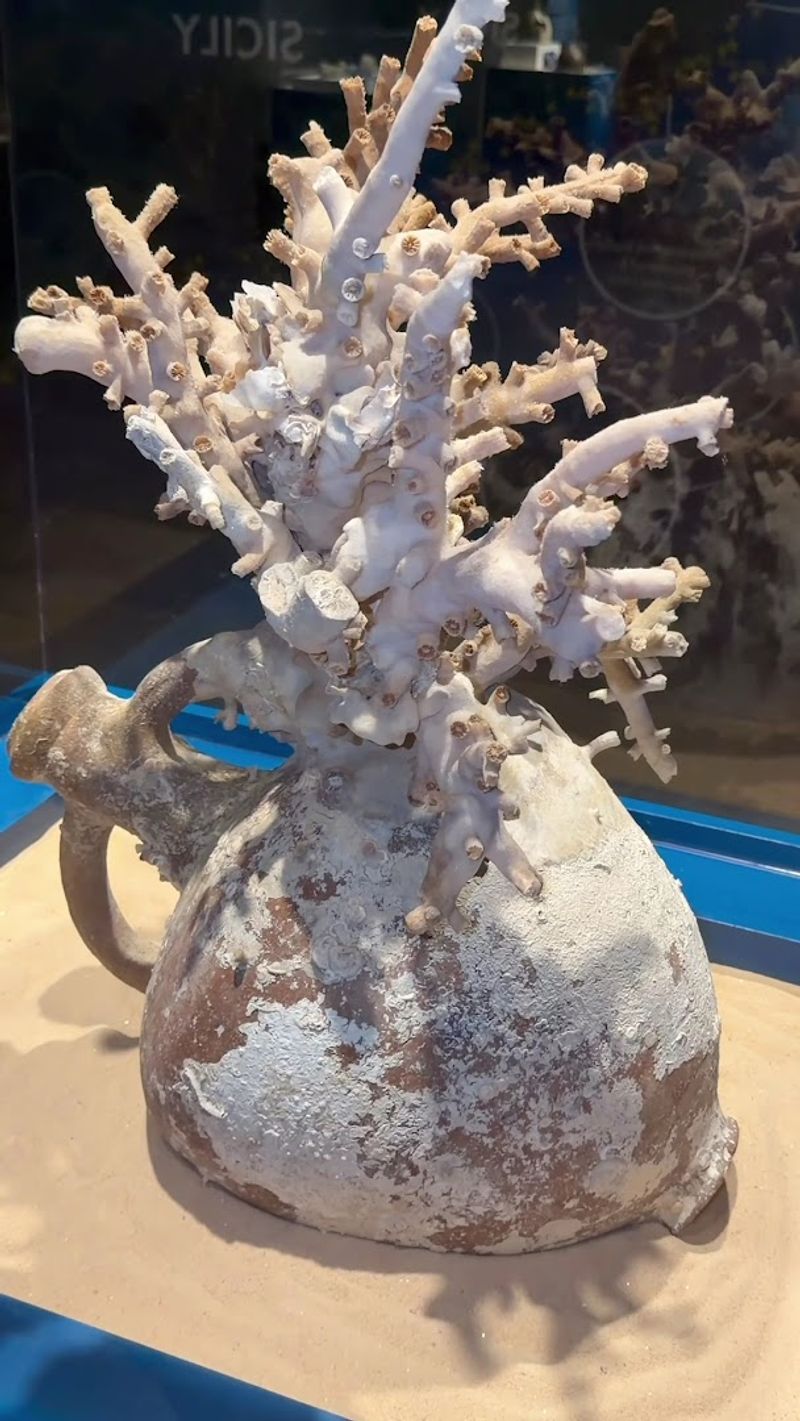 Step Into The Land Of Giants At This Incredible Atlanta Georgia Museum That Houses The World's Largest Dinosaurs - Decor Hint Reflections of Culture