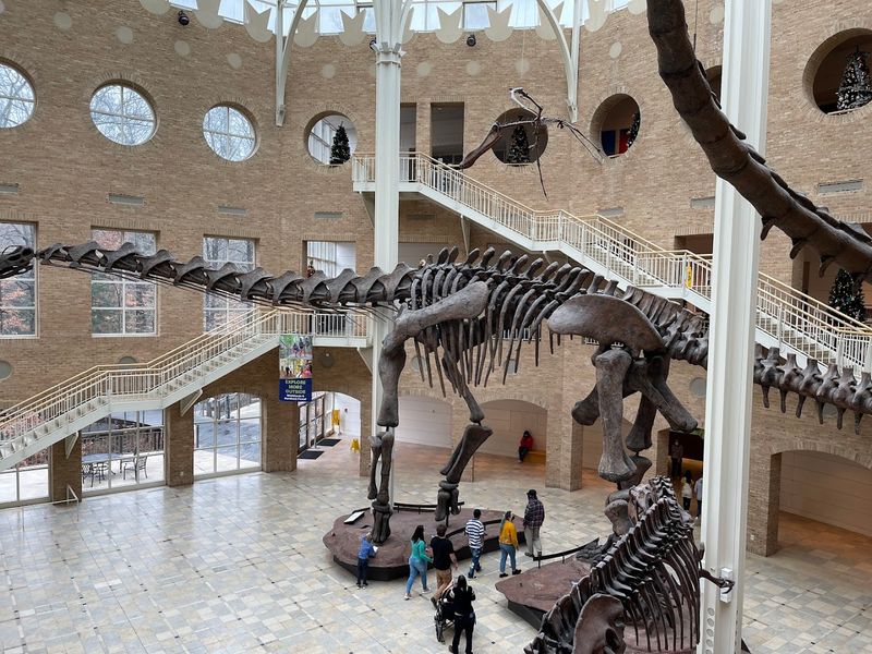 Step Into The Land Of Giants At This Incredible Atlanta Georgia Museum That Houses The World's Largest Dinosaurs - Decor Hint A Walk Through Time in Georgia