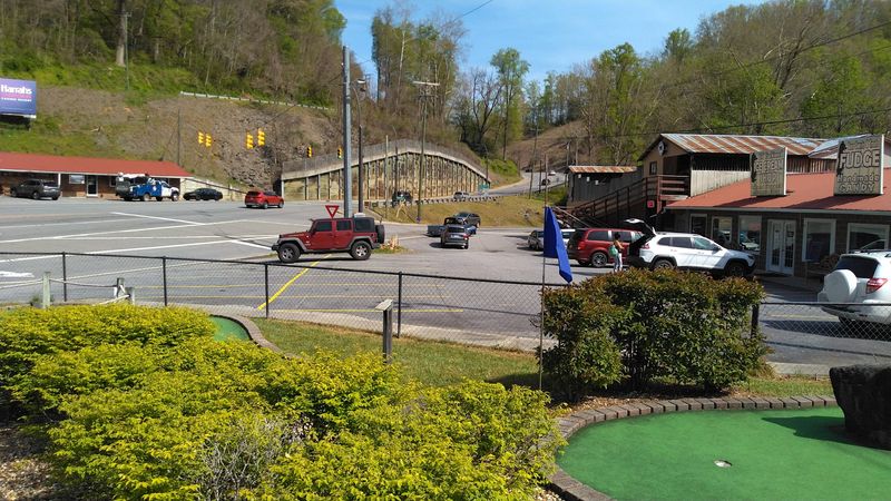 Meet Bears Up Close In North Carolina This Weekend - Decor Hint Location Along Smoky Mountain Routes