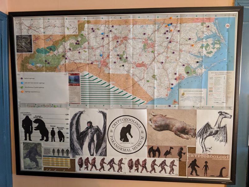 Enter A North Carolina Museum Haunted By Secrets You Can’t Explain - Decor Hint Founder's Journalism Background Shapes Museum's Investigative Approach