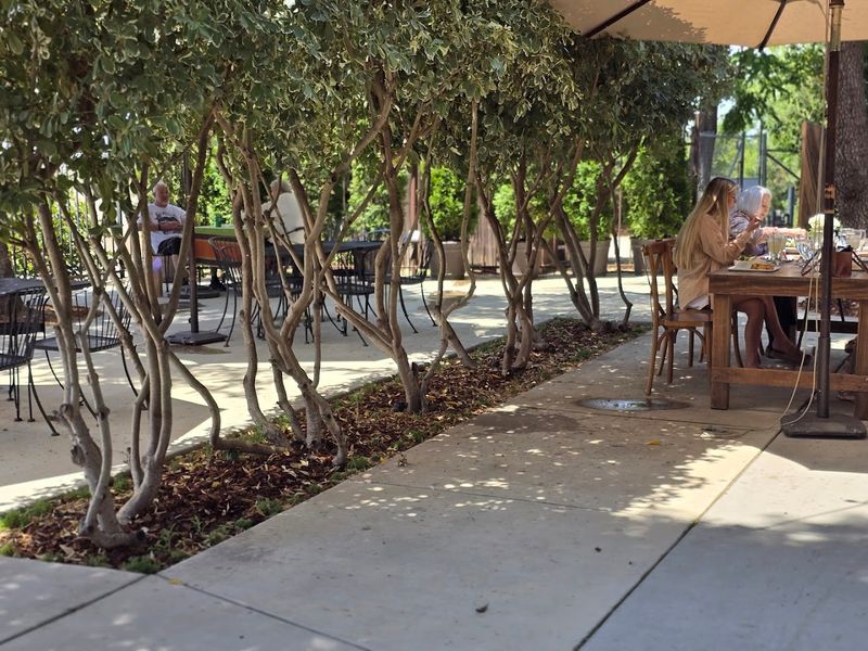 This California Lavender Farm Feels Like Heaven When It's In Full Bloom - Decor Hint Seasonal Lavender-Themed Lunches Available