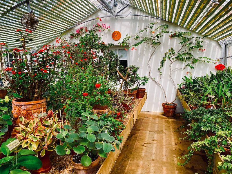 Convenient Location Makes Visiting Easy