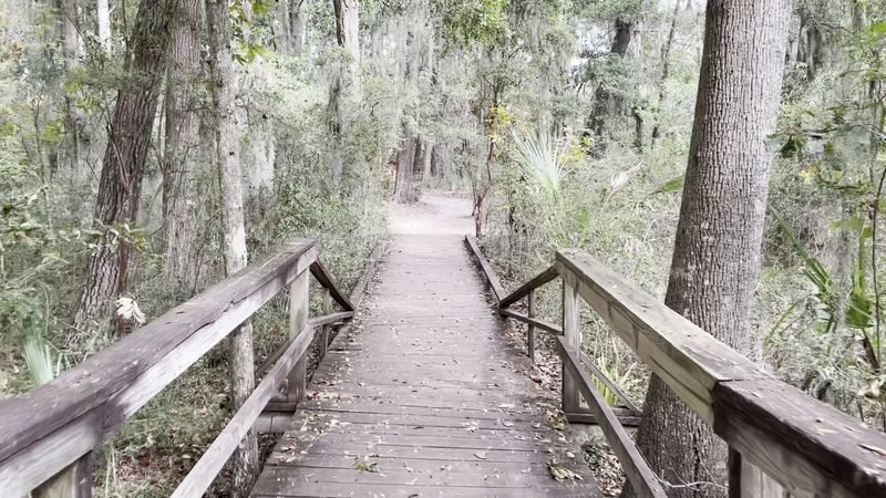 This Savannah Georgia Destination Features A Historic Building Used In Hollywood Movies And Has A Wolf Wilderness Exhibit - Decor Hint Family-Friendly Environment For All Ages