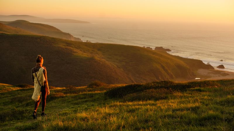 Estero Americano Coast Preserve's Natural Diversity