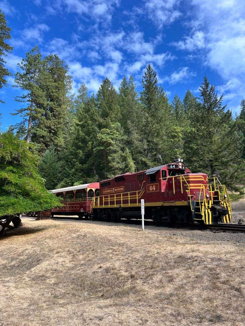 Annual Mushroom Train Celebrates Foraging Culture