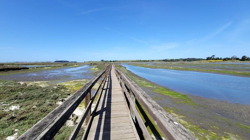 Ramsar Convention Designation Protects Wetland Values