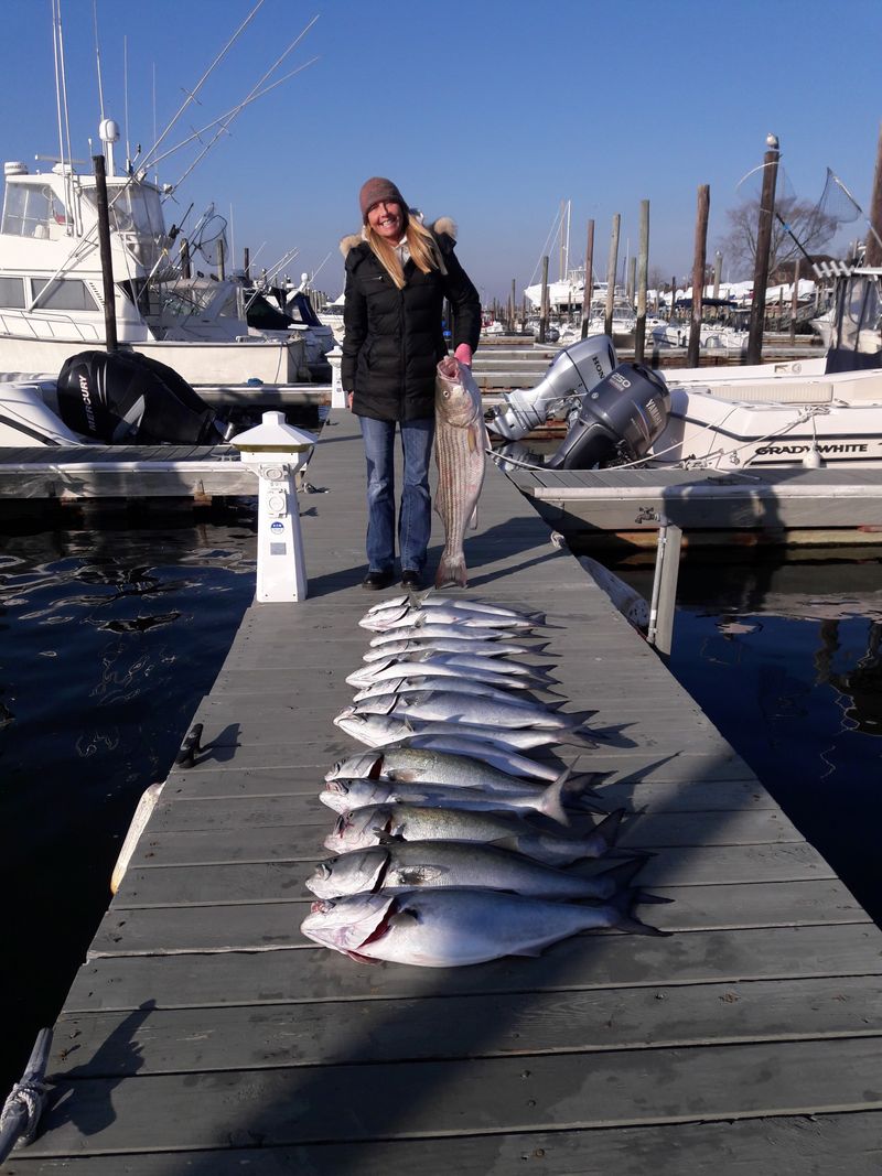 Historic Fishing Heritage Of Bodega