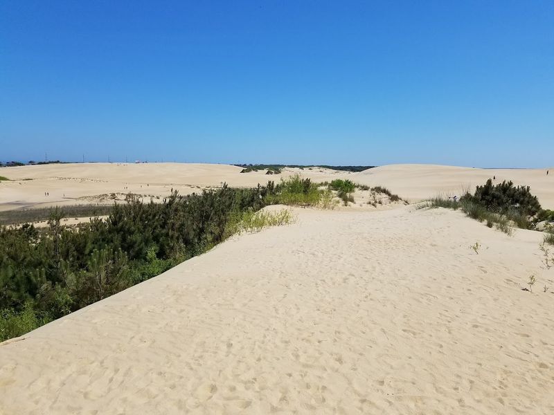 Jockey's Ridge State Park, Nags Head
