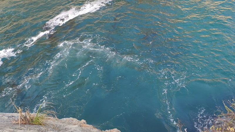 This Easy 1-Mile Hike In California Is So Stunning, You'll Be Dreaming About It For Days - Decor Hint Turquoise Waters And Kelp Forest Views