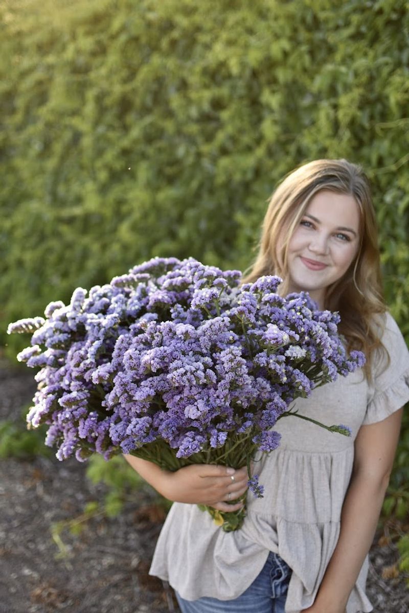 This California Flower Farm Reopens In February And It Is Pure Bloom Overload - Decor Hint Bouquet Vouchers For Winter Gifting