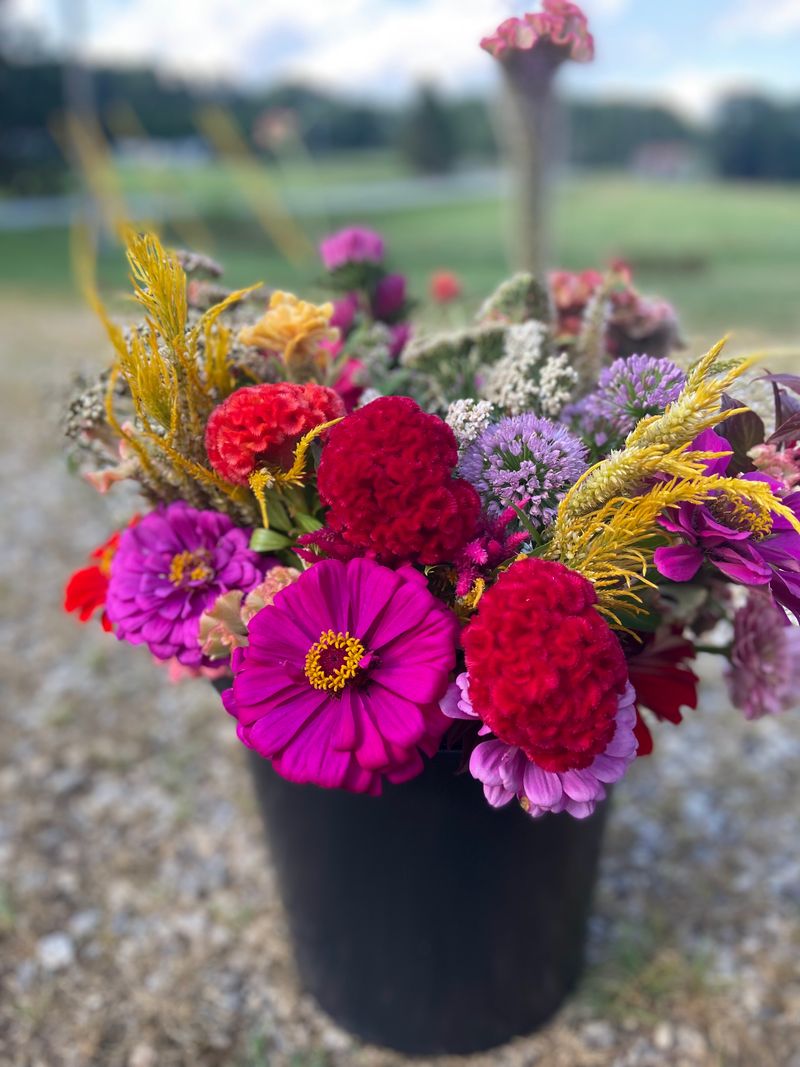 Create Lasting Memories In A Unique Setting