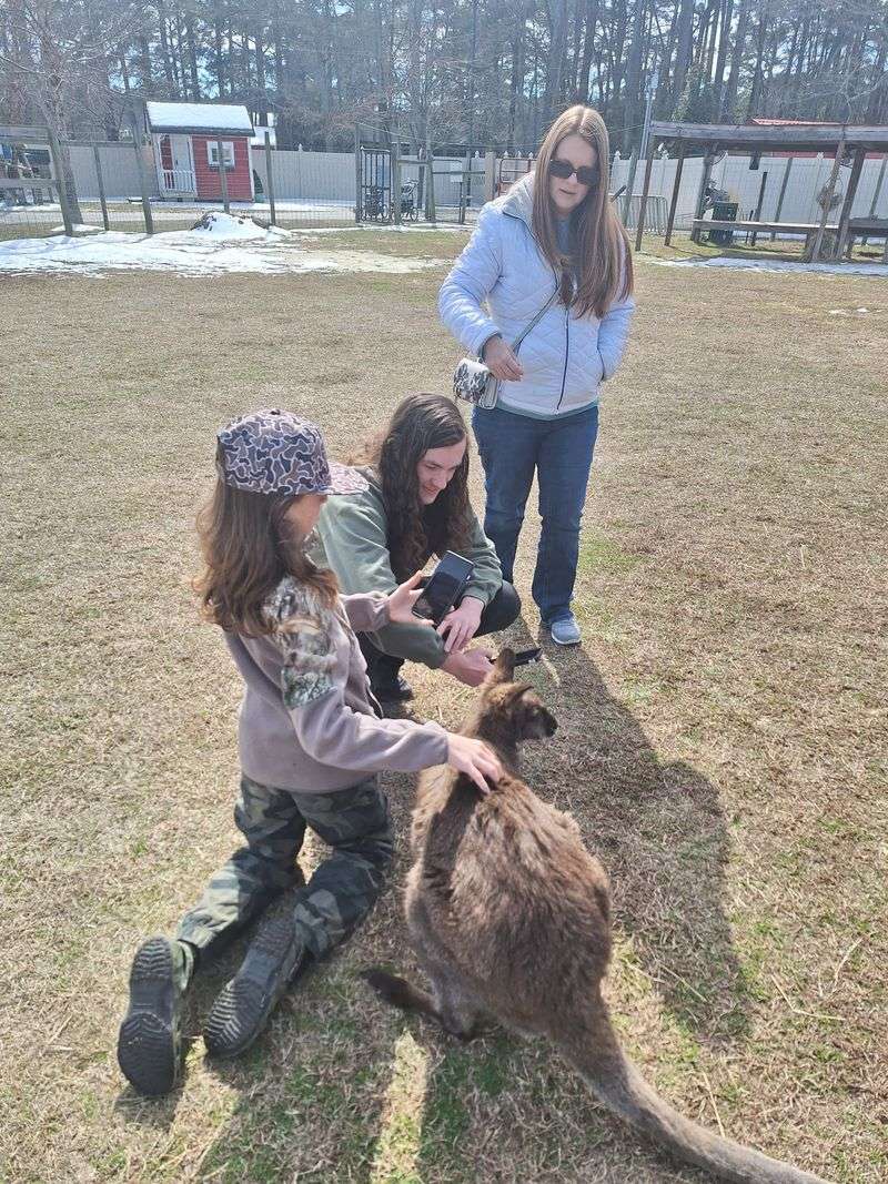 This North Carolina Sanctuary Turns Into A Summer Safari Adventure - Decor Hint Educational Programs Teaching Conservation Through Connection