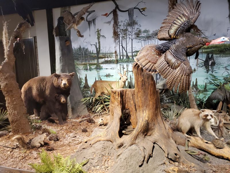 See A Real Apollo Spacecraft And A 10K Planetarium For Free At This Hidden Atlanta Georgia Gem - Decor Hint Forest Trail Behind the Center