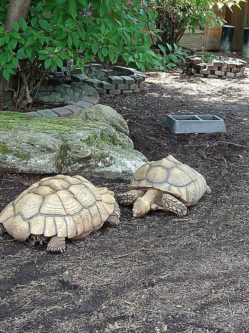Reptile House Full Of Surprises