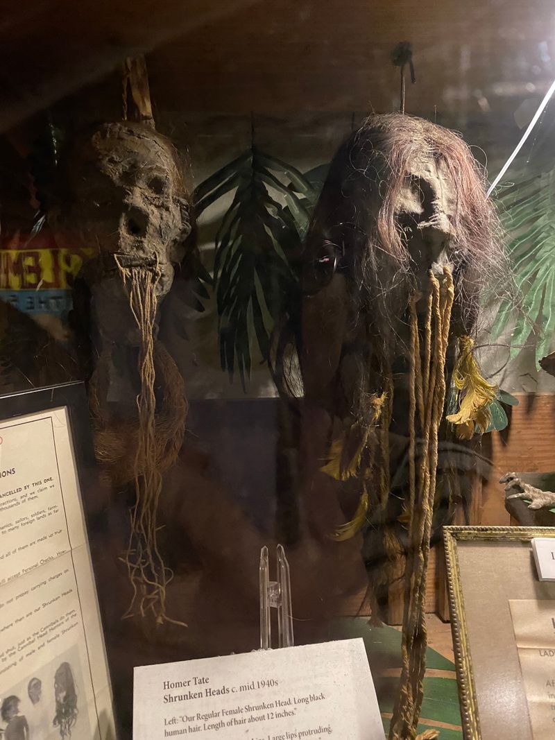 Gothic Art Installation