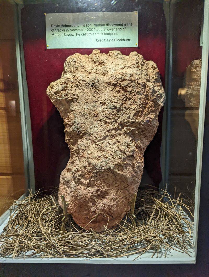 Examine Plaster Casts of Giant Footprints