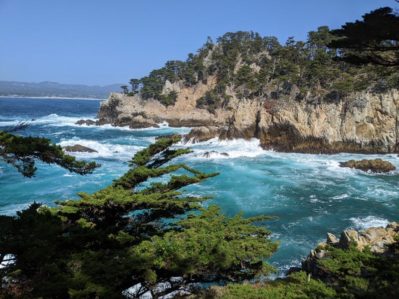 Point Lobos