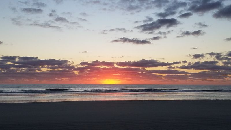 Sea Turtle Nesting Season