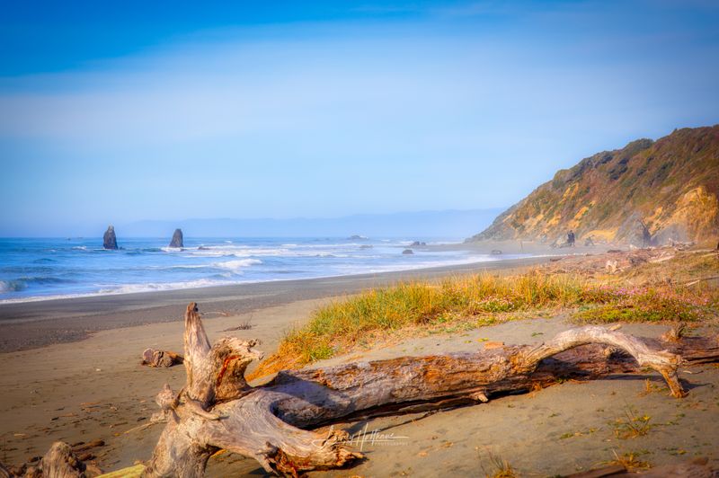 Orick Fishing Access Beach