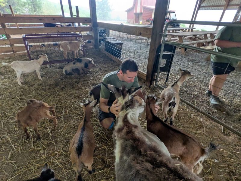 This Authentic Georgia Farm Blessing Creek Farms Georgia Brings Country Living To Life In 2026 - Decor Hint Guided Farm Tours