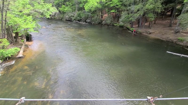 This Is Where You'll Find Georgia's Longest Swinging Bridge Hanging Suspended Over A Pristine River - Decor Hint Trout Fishing on One of Georgia's Best Rivers