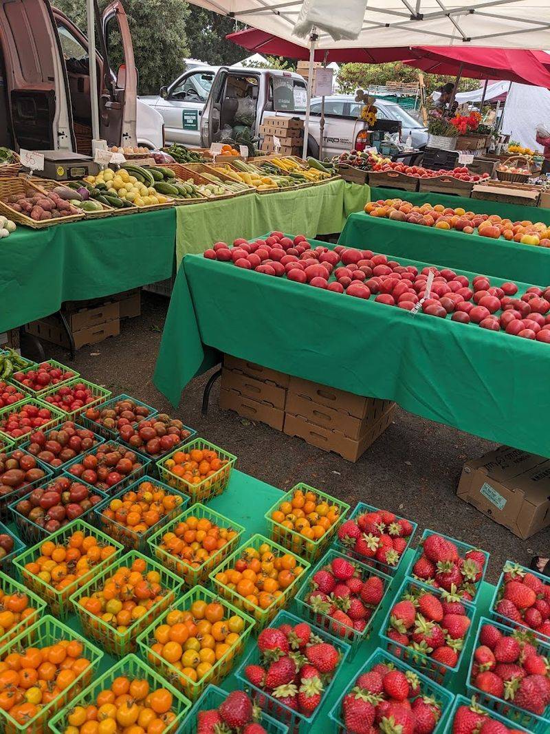Local Farmers Markets Showcase Seasonal Produce