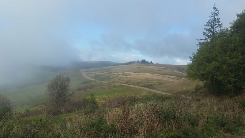 Where Locals Go For Views & Nature