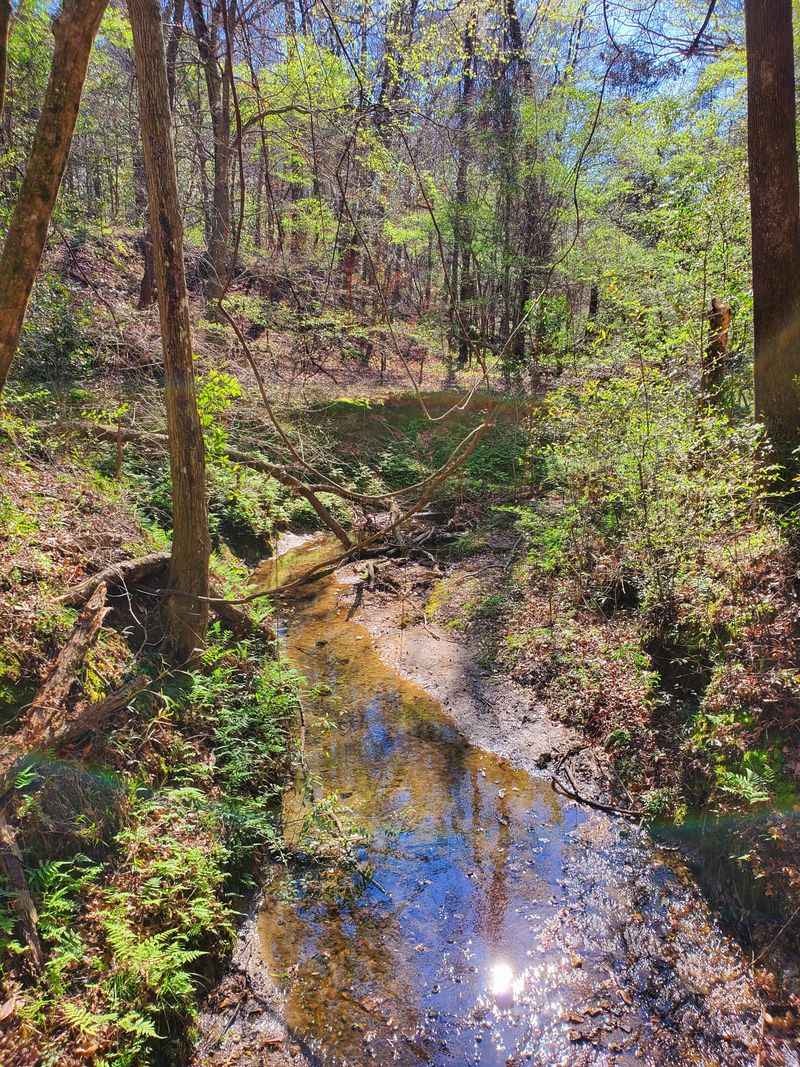 Peaceful Atmosphere Away From Crowds