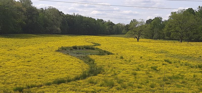 Front Porch Sitting Culture