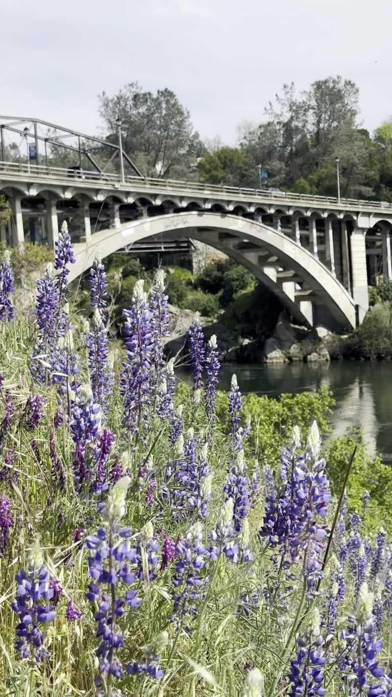 Perfect For Spring Riding Conditions