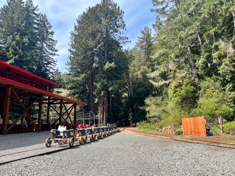 Two Departure Points Offer Different Forest Perspectives