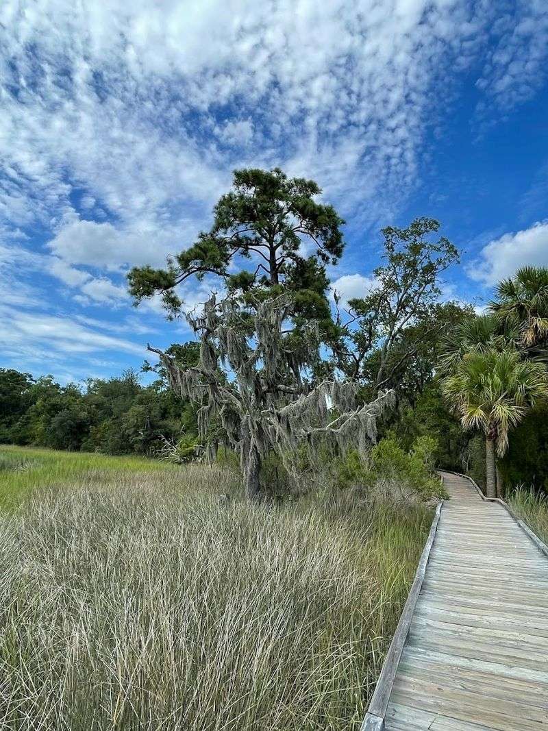 This Savannah Georgia Destination Features A Historic Building Used In Hollywood Movies And Has A Wolf Wilderness Exhibit - Decor Hint Picnic Areas Surrounded By Nature