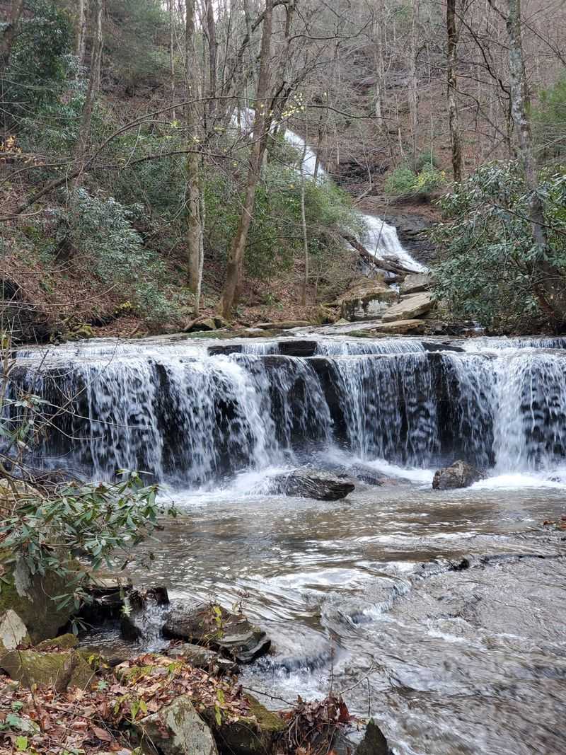 Pearson's Falls And Glen Offers Botanical Beauty